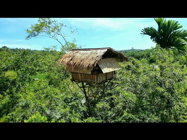 heavy rain camping || hit by a rainstorm, while repairing a tree house