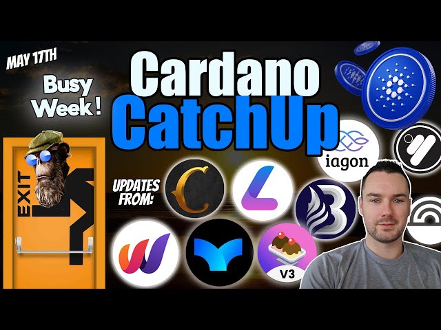 Big Cardano Updates with Projects Leaving & Projects Building