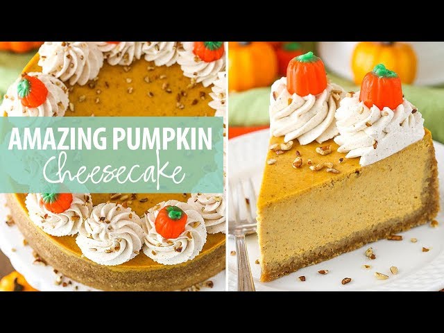 Pumpkin Cheesecake with Cream Cheese Whipped Cream