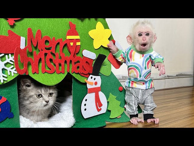 Lala helps Mom make a Christmas house for kittens!