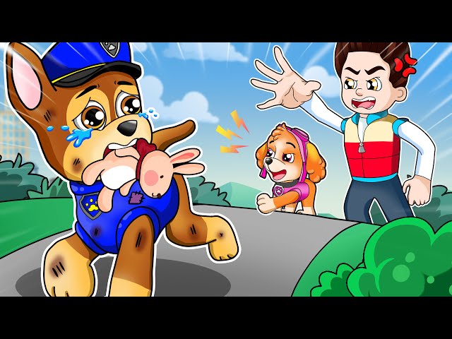 Why Did CHASE Run Away From Home? | Happy Life Story!!! | PAW Patrol The Mighty Movie | Rainbow 3