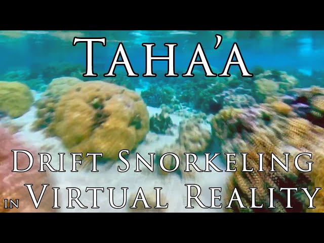 Tahiti in VR - BEST SNORKELING in the world? Taha'a French Polynesia : 360º drift snorkel in 5.7K