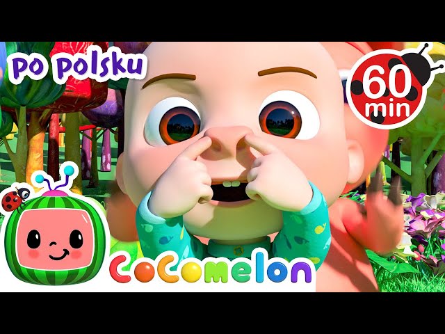 Tańczące zwierzaki | CoComelon po polsku 🍉🎶 Piosenki dla dzieci