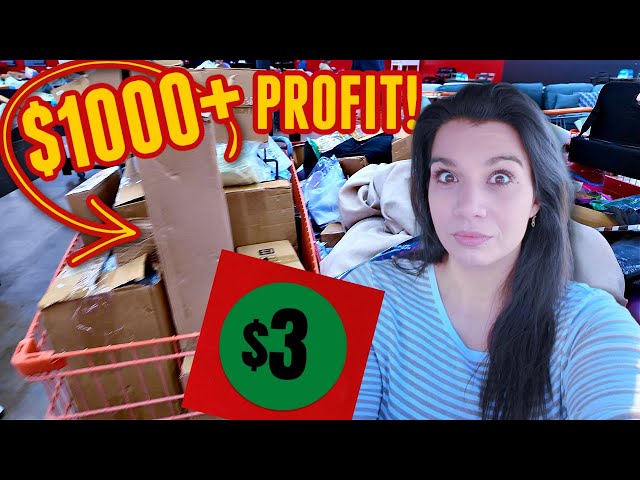 I Made OVER $1000+ Selling $3 Items I Found at the Amazon Bin Store!