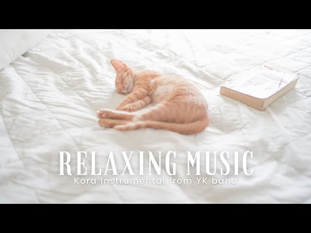 Relaxing Music with Nature Sounds｜Cat Sleeping｜Peaceful Kora Strings Instrumental｜YK band