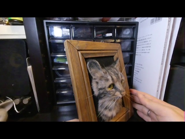 Needle felting, cat. 3D [VR180]