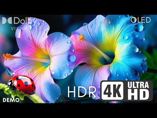 Visual Feast in 4K HDR 60 FPS: Relax with Soothing Dolby Atmos Music | Ultra HD Stress Relief