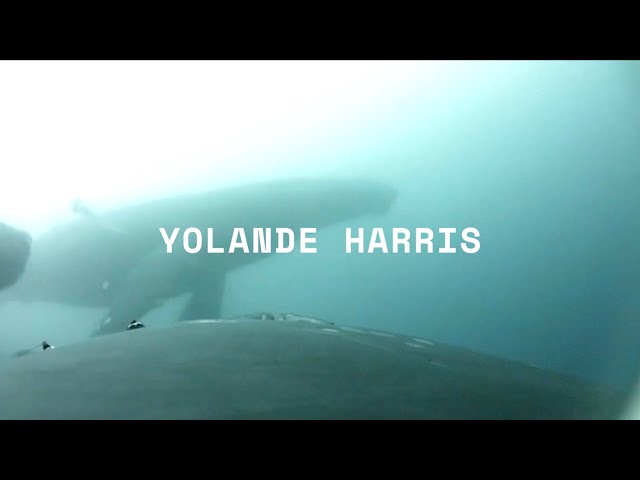 YOLANDE HARRIS - Full Interview