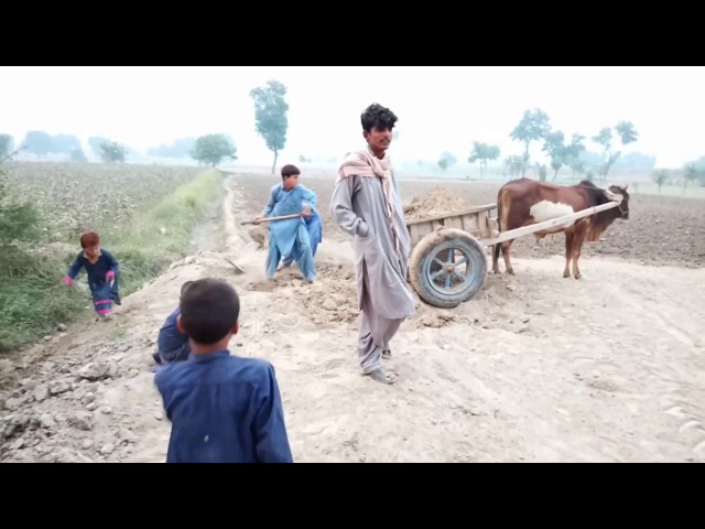 Pakistan village life and culture