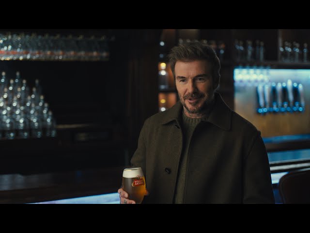 Stella Artois | David & Dave: The Big News