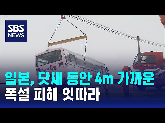 일본, 닷새 동안 4m 가까운 폭설…피해 잇따라 / SBS