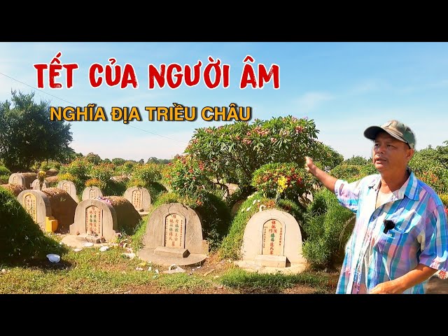 Tết Thanh Minh và những ngôi mộ đất của người Hoa tại nghĩa địa Triều Châu không phải ai cũng biết