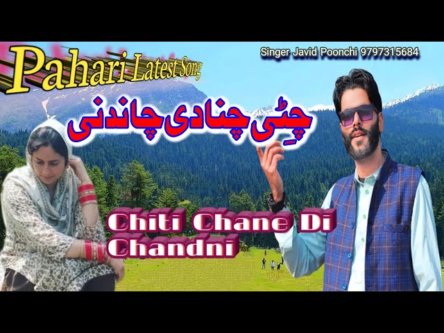 Pahari Song || Chitti Chana Di Chandni || Singer Javid Poonchi || Live Performance || New Pahari