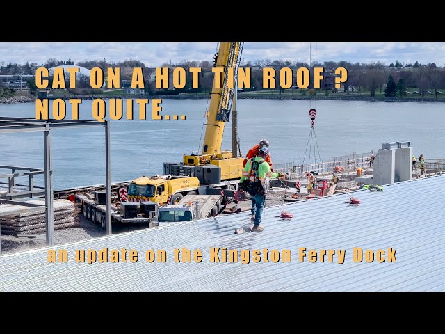 Cat on a hot tin roof  - an update on the Kingston Ferry Dock 4K