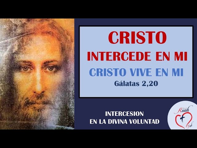 Jesús intercede en mí | Intercesión en la Divina Voluntad | Misión Ruah