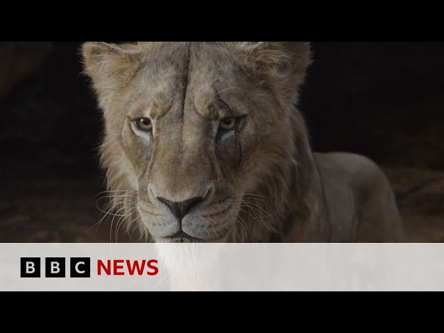 The Lion King: How did a visual effects team bring Mufasa to life? | BBC News