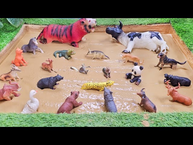 Carnivorous Animals Defeat Big Cow and Domestic Farm Animals Stuck in Mud!