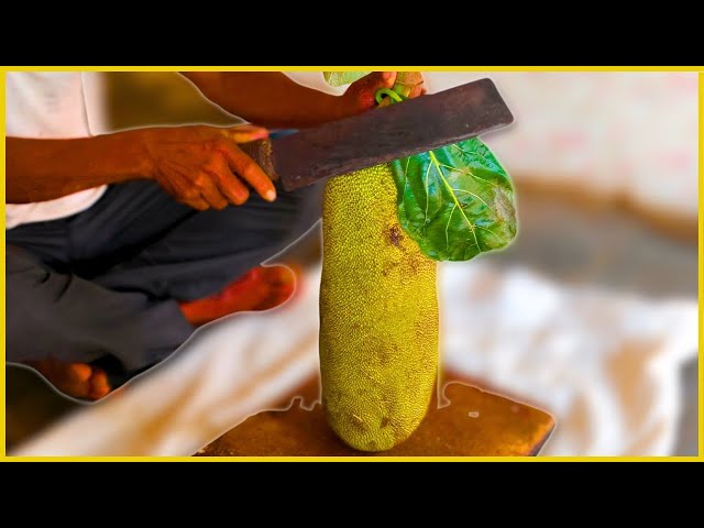 FRUIT NINJA of RAW JACKFRUIT | Amazing Jackfruit Fruits Cutting Skills | Indian Street Food In 2024