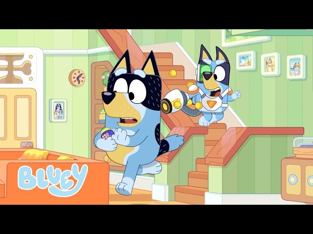 Exciting Moments with Bluey and Bingo! 😮 💙 🧡 | Bluey