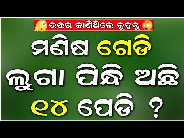 Odia Dhaga Dhamali IAS Questions | Clever Q & Ans | Odia Dhaga katha | Odia Gk |Odisha Education 360