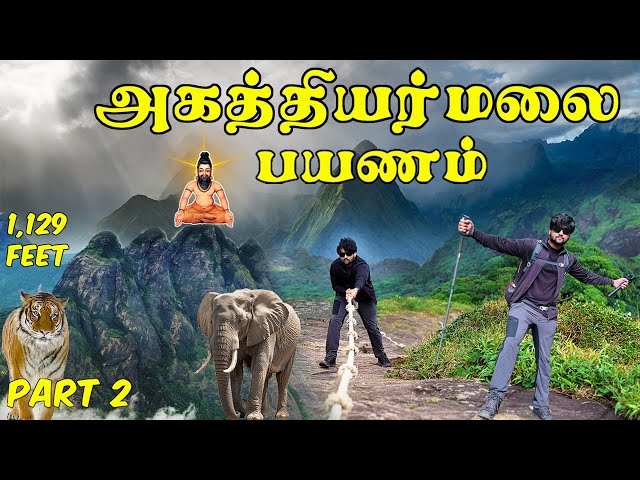 AGASTHIYAR MALAI TREKKING🙏🏻 | POTHIGAI MALAI | AGASTHYARKOODAM😱 அகத்தியர் மலை பயணம் 😍| Aravind Vlogs