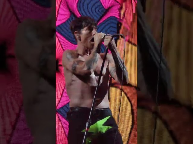 Red Hot Chili Peppers - Give It Away 4K 8-30-22