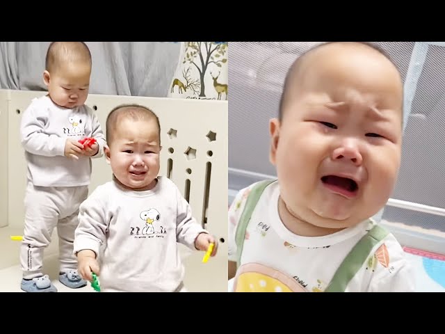 【超萌双胞胎】二胖又来手欠了,真烦人...【西西和柚柚呀】#cutebaby #funny #萌娃 #搞笑