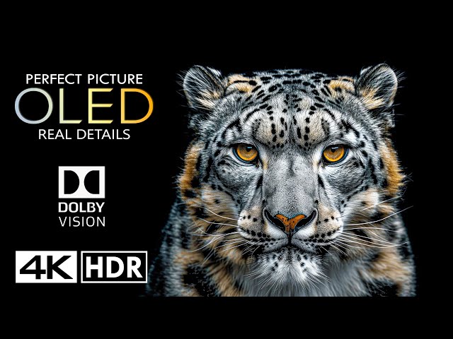 4K Video ULTRA HD - Dolby Vision HDR 4K (60 FPS)