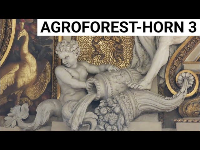 ***3 CARBON AGROFOREST: BEST HEALTH & HORN OF ABUNDANCE & SOLVING