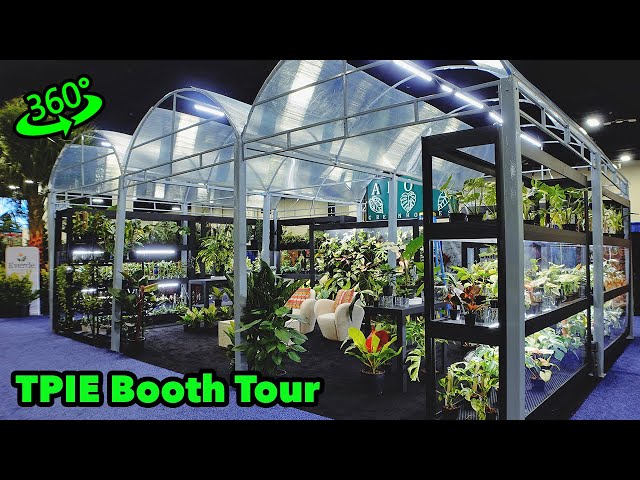 Aroid Greenhouses TPIE Booth 2024 | 360° Tour of Rare & Variegated Plants!