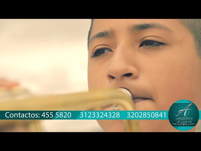 Mariachi JUVENIL Aguilar (MARIACHIS Bogota) Mi Querido Viejo