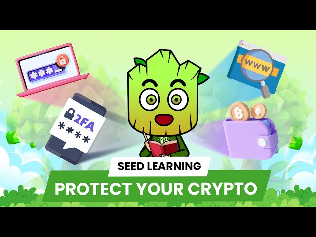 How to protect your crypto as a crypto native? | SEED Learning #23