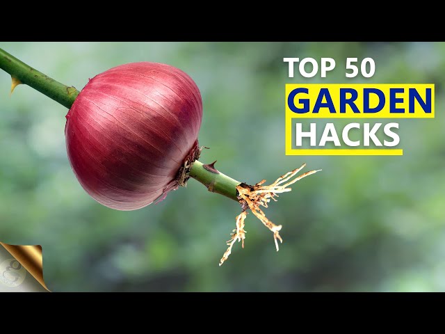 MY TOP 50 SECRET GARDENING IDEAS & HACKS FOR BEGINNERS AND EXPERTS | GARDEN SECRETS