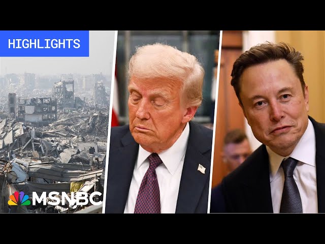 Trump, 'hatchet man' Musk blasted for overreach: Trump’s First 100 Days - Day 17 | MSNBC Highlights