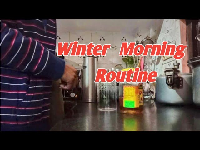 Early Winter Morning Routine || Indian Mom daily life Vlog ☕