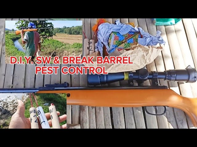 PAMAMASYAL SA PALAYAN NA MAY DALANG PAPUTOK | PEST CONTROL GAMIT ANG BREAK BARREL.177