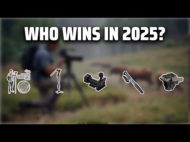 The Top 5 Best Monopod Head in 2025 - Must Watch Before Buying!