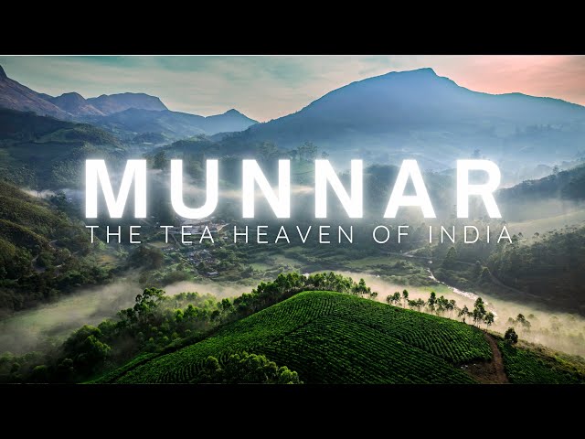 Munnar - India's Tea Heaven || Cinematic Travel Film || Kerala | South India || Kolukkumalai || 2025