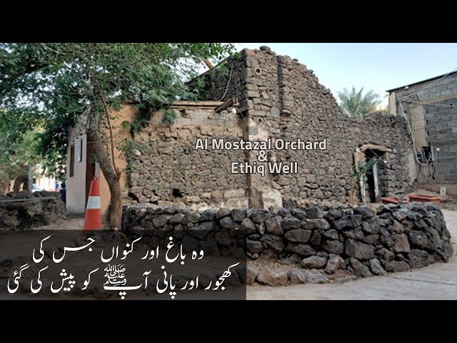 Historic Well and Dates Garden Near Quba Mosque of Madinah |  Salman Travel Diaries