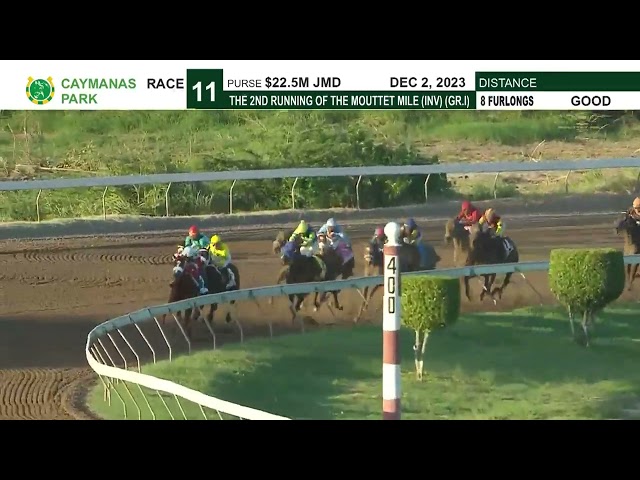 The Mouttet Mile Invitational 2023 | Caymanas Horse Racing | SportsMax TV