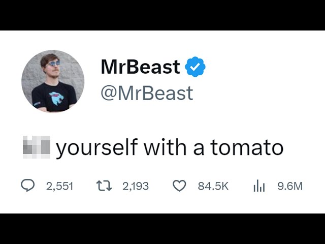 MrBeast Final Response to Vegan Teacher