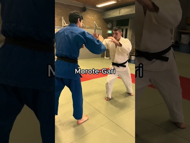 Judo Leg Grab Throws