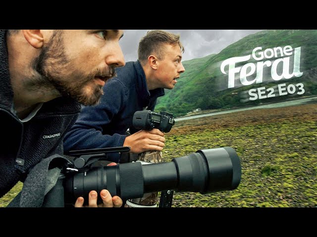 This is why Wildlife Photography is SO HARD | Gone Feral SE2 E03