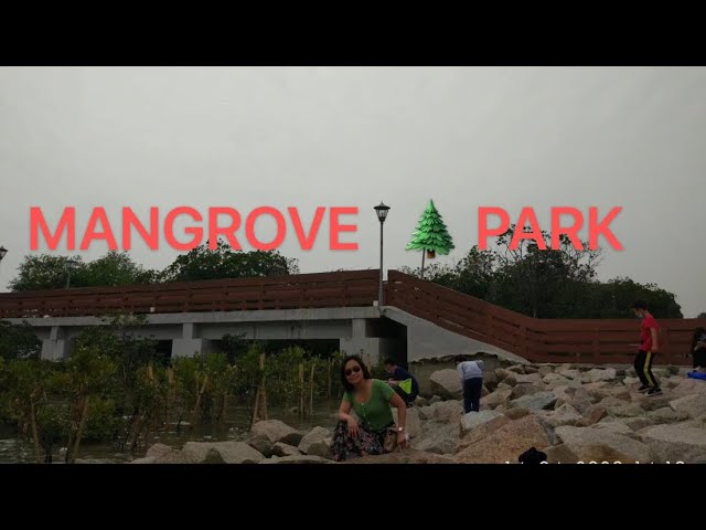 Dito lang pala ang my forever 😁(Mangrove Tree Park)