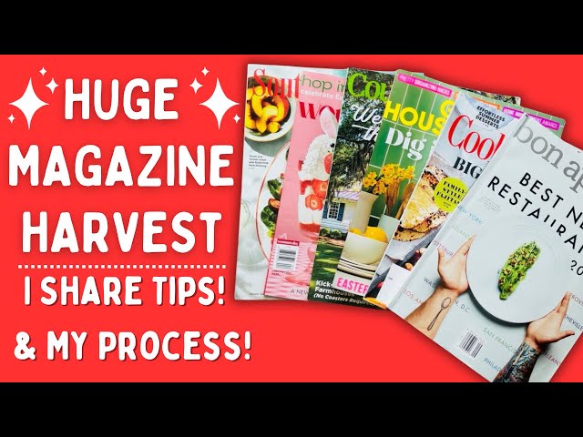 ✂️HUGE Magazine Harvest💥 Sharing tips, ideas, and my process! #gluebook