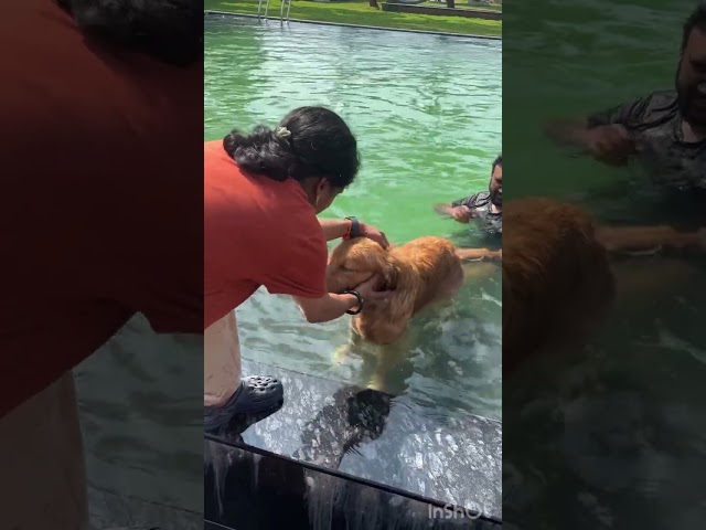 Whole family trying to protect him and at the same time we want him to enjoy his swimming time ❤️😂