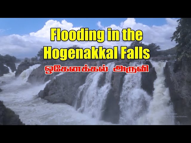 Hogenakkal falls coracle ride 2022 | Hogenakkal trip complete details | Tamilnadu Tourism