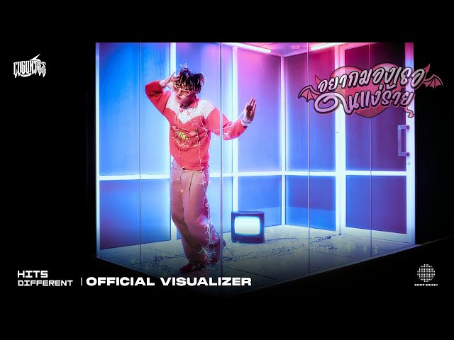 CDGuntee - อยากมองเธอในแง่ร้าย (Official Visualizer)