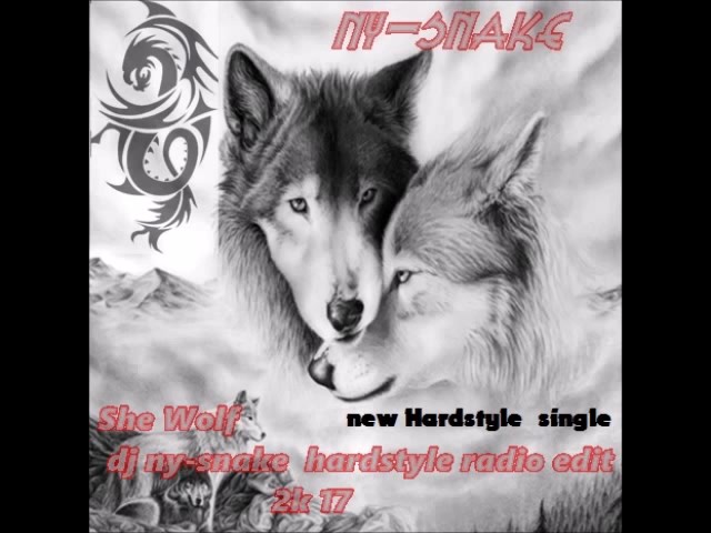 Thema: DJ Ny-snake- She Wolf dj ny-snake hardstyle radio edit 2k 17