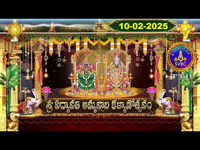 Sri Padmavathi Ammavari Kalyanotsavam || Tiruchanoor || 10-02-2025 || SVBC TTD